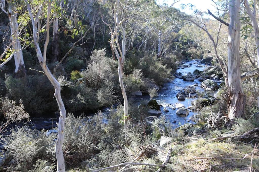 Big Yard Escapes - Two Off-Grid Tiny Houses On The Mowamba River Jindabyne Exteriör bild