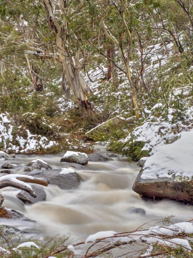Big Yard Escapes - Two Off-Grid Tiny Houses On The Mowamba River Jindabyne Exteriör bild