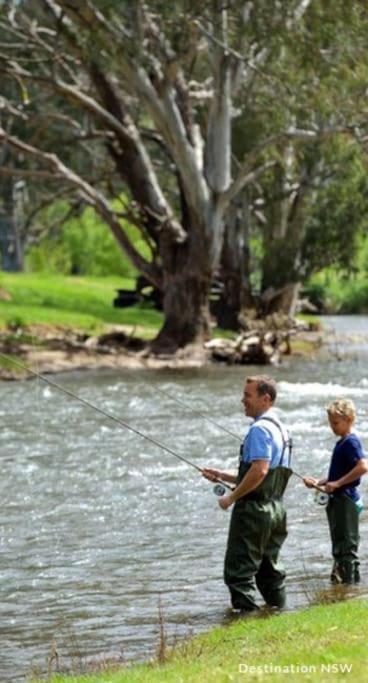 Big Yard Escapes - Two Off-Grid Tiny Houses On The Mowamba River Jindabyne Exteriör bild