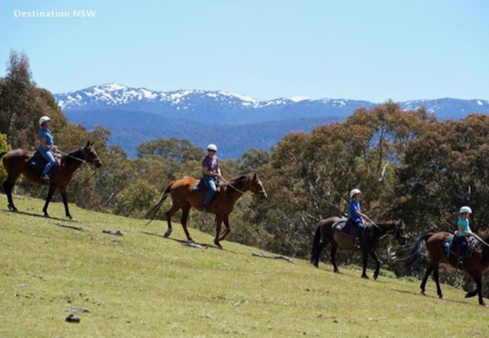 Big Yard Escapes - Two Off-Grid Tiny Houses On The Mowamba River Jindabyne Exteriör bild