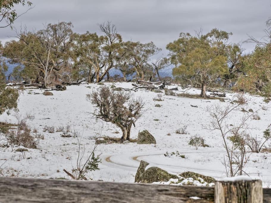 Big Yard Escapes - Two Off-Grid Tiny Houses On The Mowamba River Jindabyne Exteriör bild