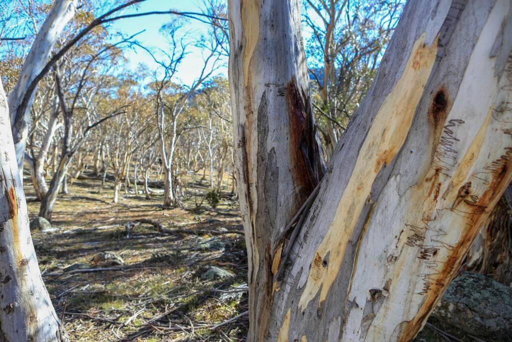 Big Yard Escapes - Two Off-Grid Tiny Houses On The Mowamba River Jindabyne Exteriör bild