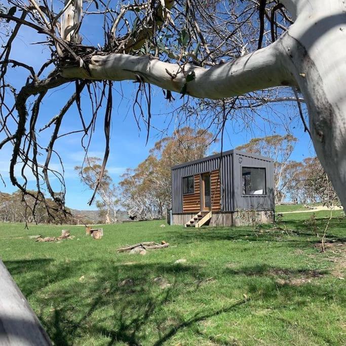 Big Yard Escapes - Two Off-Grid Tiny Houses On The Mowamba River Jindabyne Exteriör bild