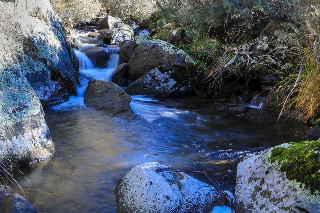 Big Yard Escapes - Two Off-Grid Tiny Houses On The Mowamba River Jindabyne Exteriör bild