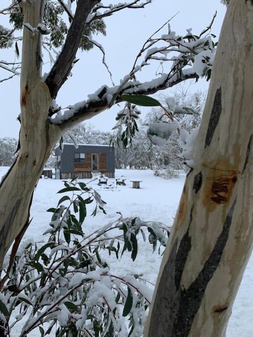 Big Yard Escapes - Two Off-Grid Tiny Houses On The Mowamba River Jindabyne Exteriör bild
