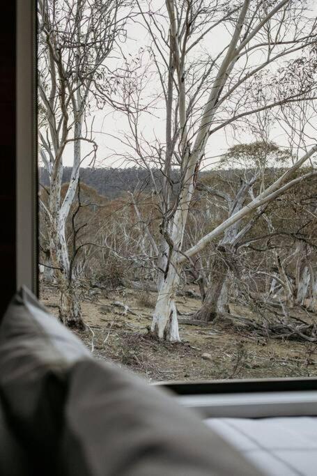 Big Yard Escapes - Two Off-Grid Tiny Houses On The Mowamba River Jindabyne Exteriör bild