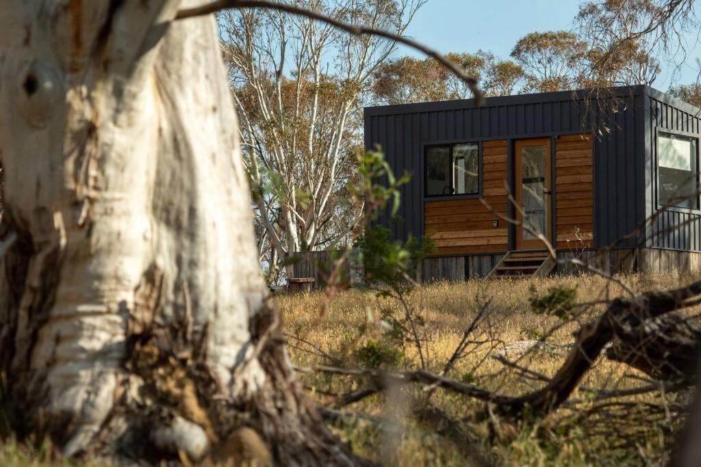 Big Yard Escapes - Two Off-Grid Tiny Houses On The Mowamba River Jindabyne Exteriör bild