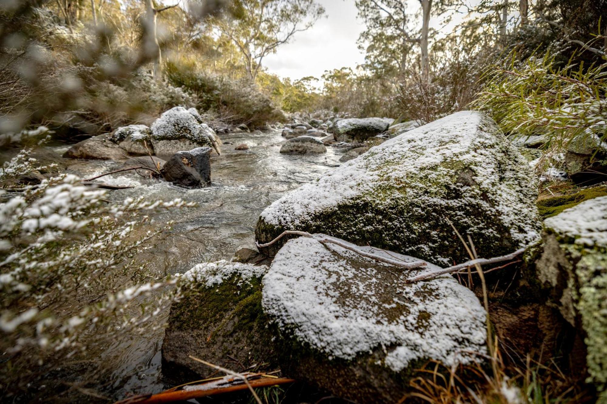 Big Yard Escapes - Two Off-Grid Tiny Houses On The Mowamba River Jindabyne Exteriör bild