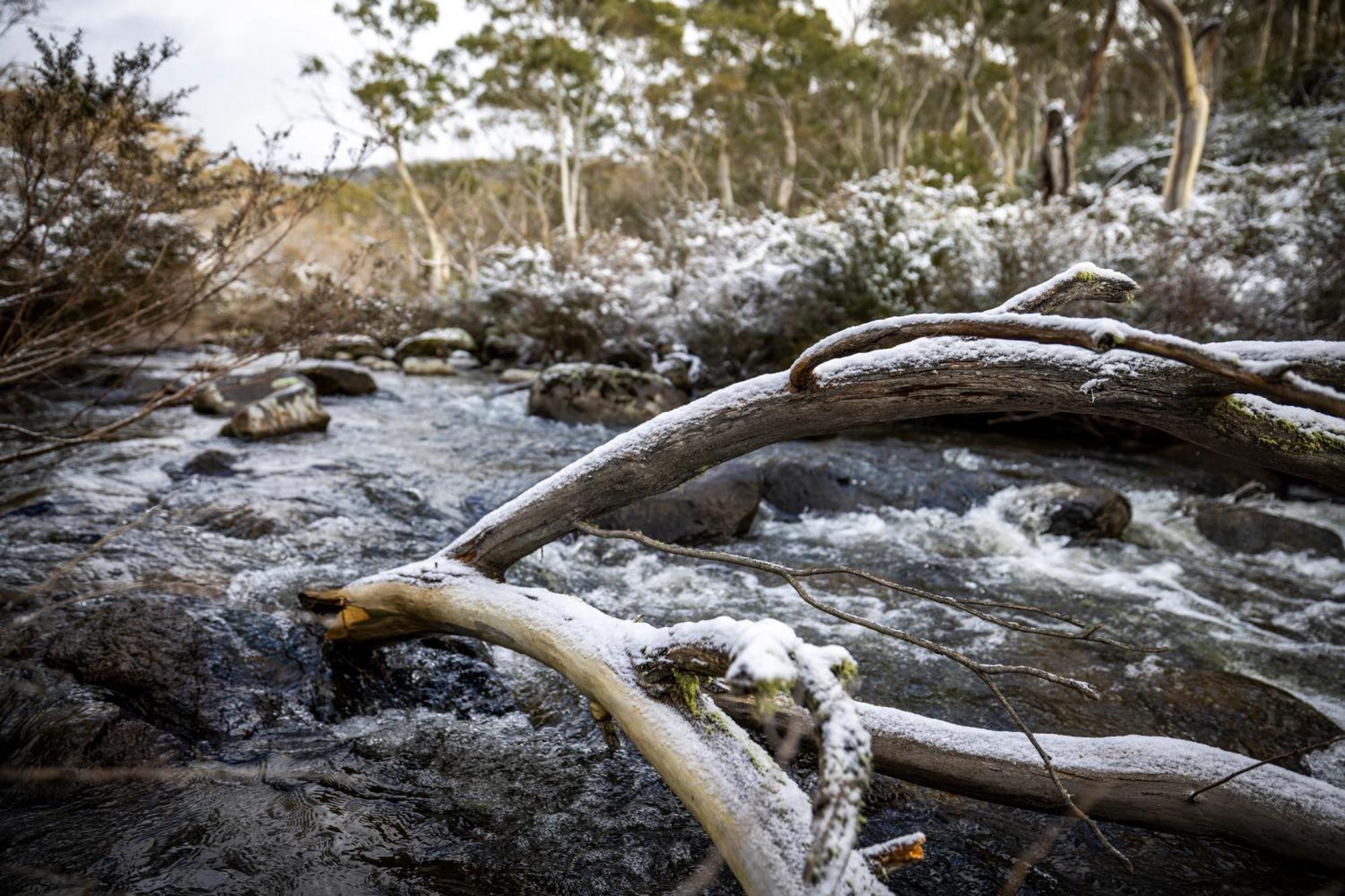 Big Yard Escapes - Two Off-Grid Tiny Houses On The Mowamba River Jindabyne Exteriör bild